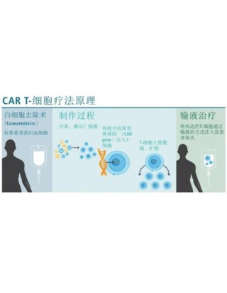 baidu09驯鹿生物与信达生物宣布全球首个全人源靶向 BCMA CAR-T 产品福可苏在中国获批
