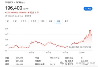 被低估的AI芯片强国