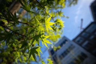 索尼FE 14mm F1.8 GM实拍样张欣赏