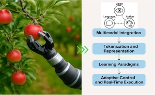PaliGemma 2 – 谷歌DeepMind推出的全新视觉语言模型