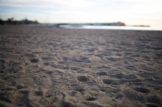 佳能RF35mm F1.8实拍样张欣赏