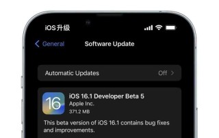 iOS11 beta5中屏幕镜像板增加新图标 或将有更多设备支持iPhone