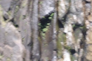 佳能发布RF100-500mm F4.5-7.1 L IS USML级RF超远摄变焦镜头