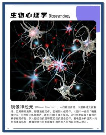 科学家研发出全新无透镜相机 可监测移动物体的神经元活动