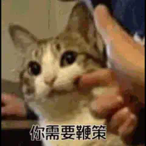 拍我AI，AI视频的抽象之王哈哈哈哈哈