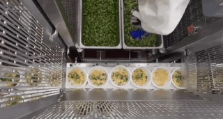 AI 在餐饮界也卷出了“萝卜快跑”，打饭比食堂阿姨手稳，炒菜接近大厨