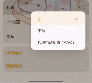 无法自动检测此网络的代理设置怎么办？