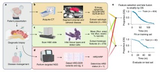 TITAN – 哈佛医学院研究推出的多模态全切片病理基础模型