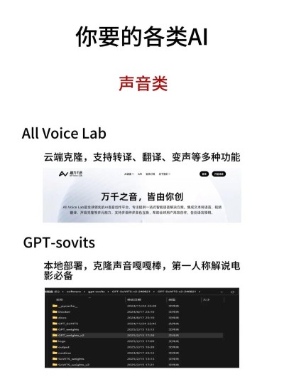VoiceCanvas – 开源AI语音合成平台，支持多语言、多音色、声音克隆服务