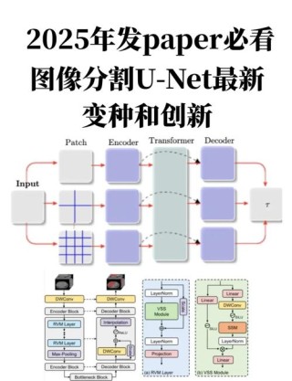 ASAM – vivo公司推出的AI图像分割模型