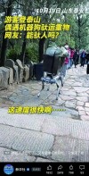 拒绝“人工智障”！VLM让RDK X5机器狗真正听懂“遛弯”和“避障