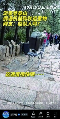 拒绝“人工智障”！VLM让RDK X5机器狗真正听懂“遛弯”和“避障