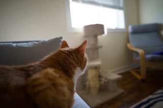 索尼FE 20mm F1.8实拍样张欣赏