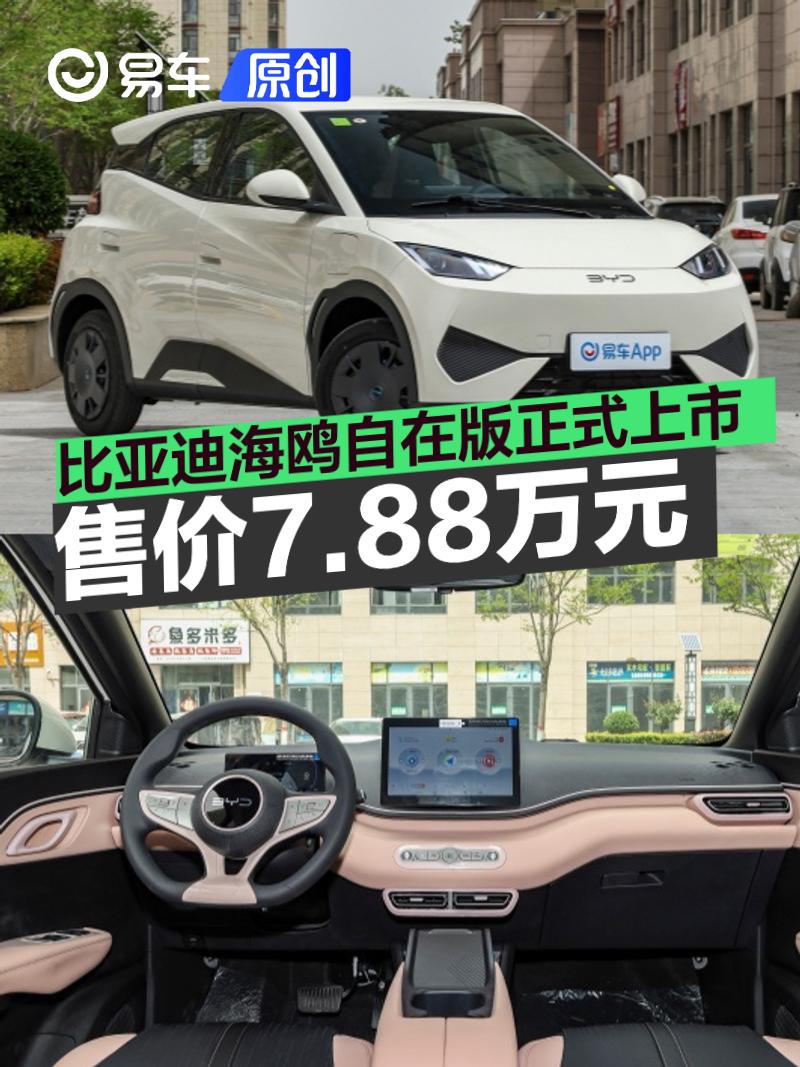 比亚迪海鸥自在版正式上市 售价7.88万元  第1张