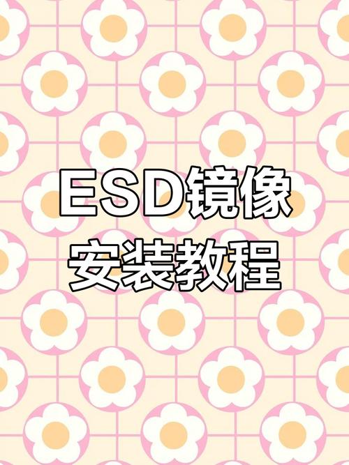esd文件怎么在PE系统安装?PE系统安装ESD文件方法 第1张 esd文件怎么在PE系统安装?PE系统安装ESD文件方法 第1张