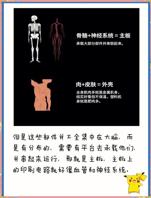 电脑硬件入门知识详解(三大重点篇) 第2张 电脑硬件入门知识详解(三大重点篇) 第2张