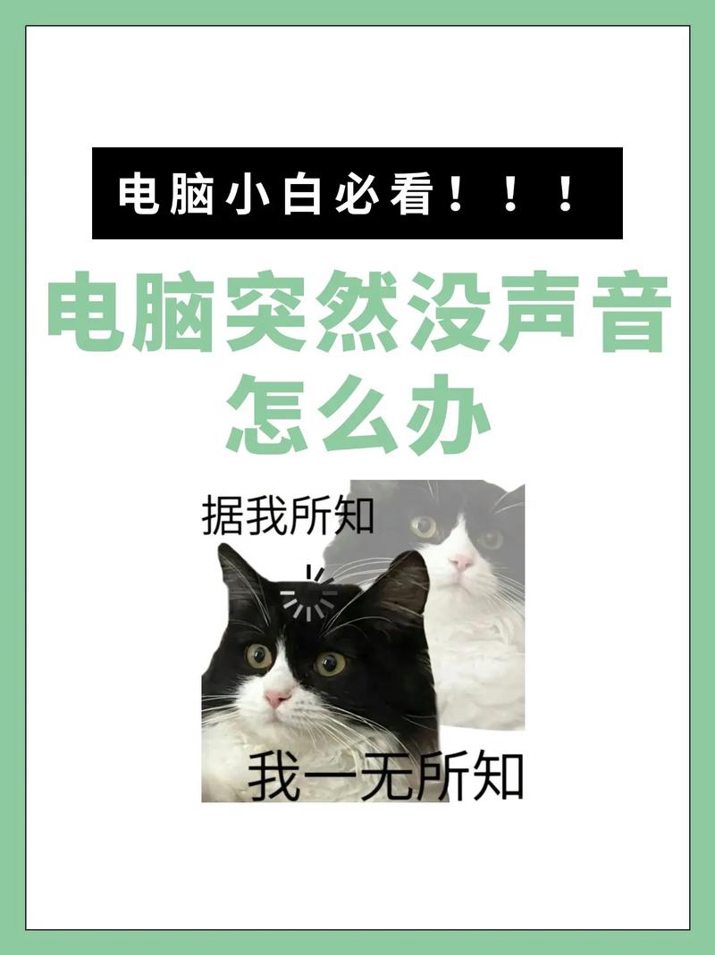 电脑玩游戏突然没声音怎么办? 第2张 电脑玩游戏突然没声音怎么办? 第2张