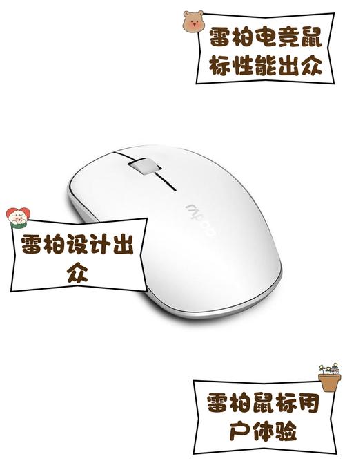 雷柏驱动怎么检测不到设备?雷柏驱动检测不到鼠标的解决教程 第1张 雷柏驱动怎么检测不到设备?雷柏驱动检测不到鼠标的解决教程 第1张