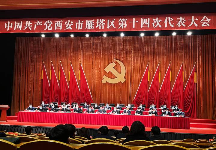 李楠:两个使命,AngryMiao要建立高端品牌 第2张 李楠:两个使命,AngryMiao要建立高端品牌 第2张