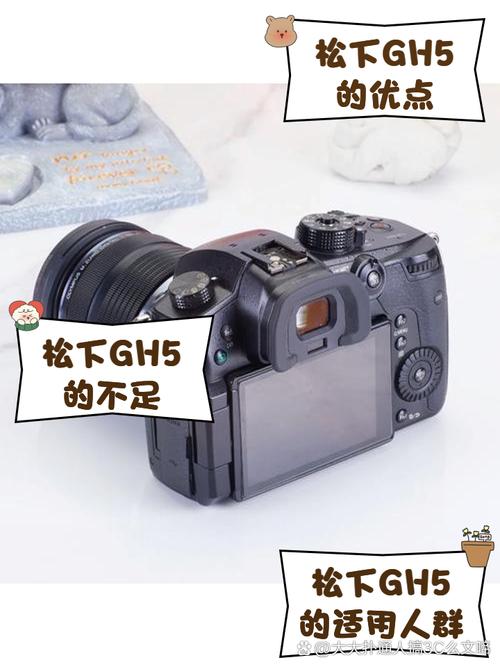 松下GH5后续机型引发热议 第1张 松下GH5后续机型引发热议 第1张