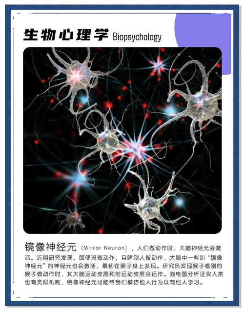 科学家研发出全新无透镜相机 可监测移动物体的神经元活动 第1张 科学家研发出全新无透镜相机 可监测移动物体的神经元活动 第1张