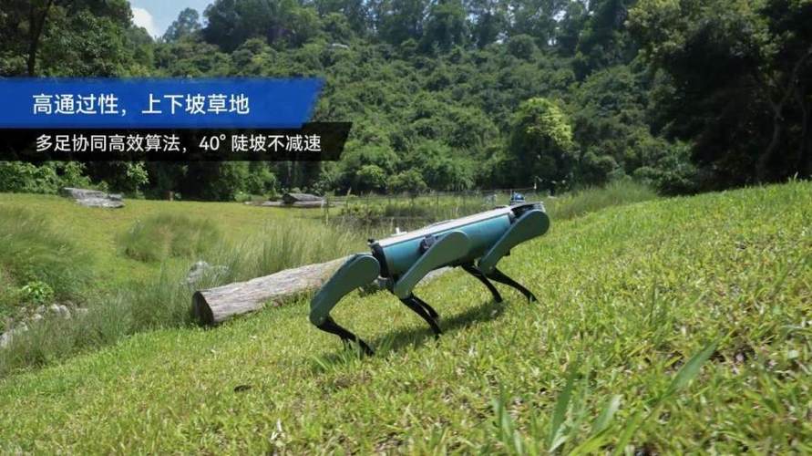 机器人看点：越疆机器人正式发布六足仿生机器狗 智元公布机器人运动控制模型专利  第2张