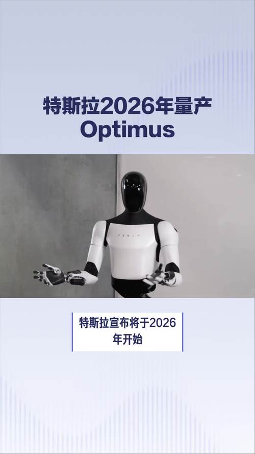 特斯拉Optimus机器人数百台已生产,持续向产线工作标准迈进 第1张 特斯拉Optimus机器人数百台已生产,持续向产线工作标准迈进 第1张