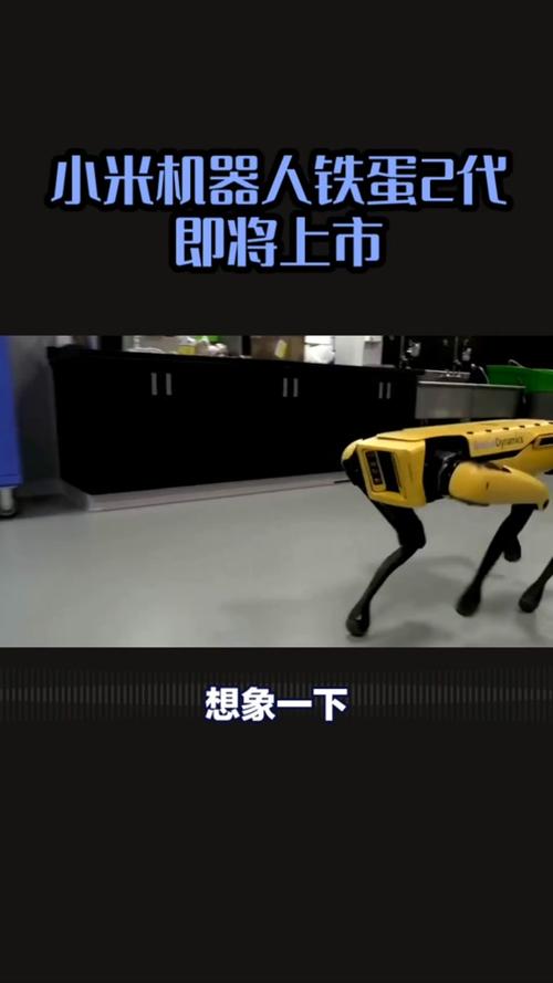 小米机器人入驻小米汽车工厂,已研发铁大、铁蛋等机器人 第1张 小米机器人入驻小米汽车工厂,已研发铁大、铁蛋等机器人 第1张
