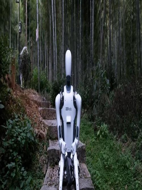 云深处科技DR01人形机器人卓越稳定性与智能融合引领行业变革 第2张 云深处科技DR01人形机器人卓越稳定性与智能融合引领行业变革 第2张