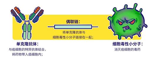 baidu09伟德杰生物完成C轮融资，推进IL-6R抗体等临床开发  第1张