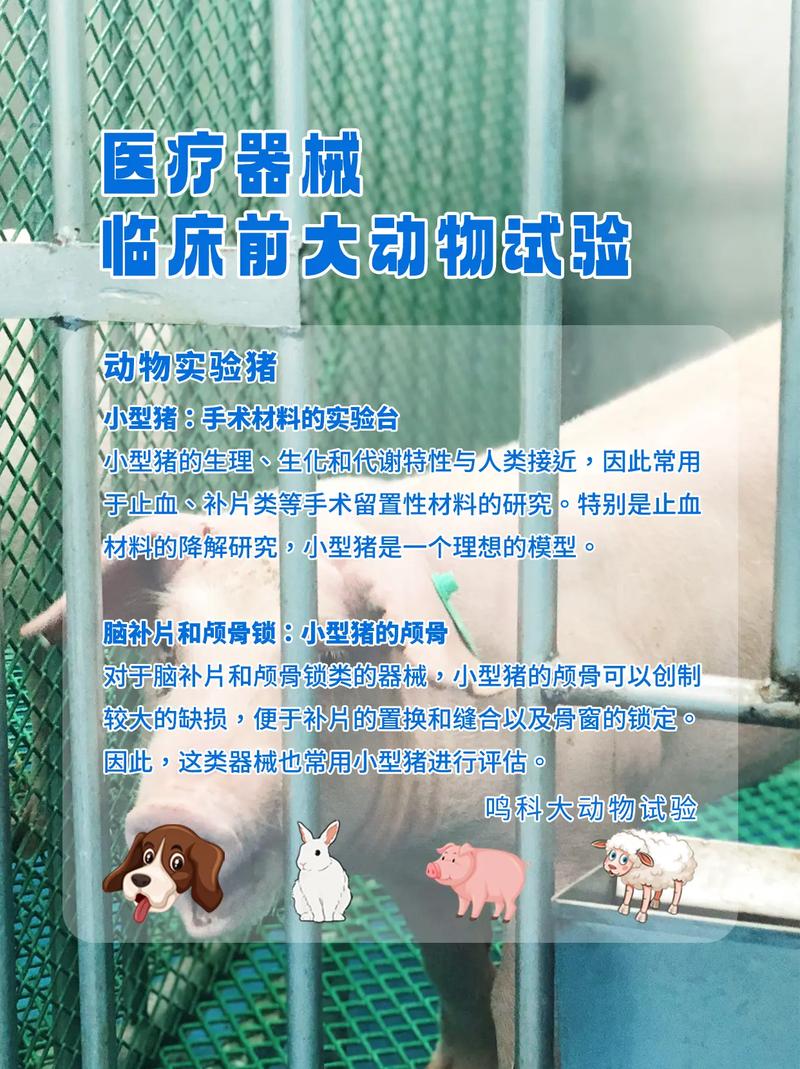 baidu09动物实验不再是唯一选择?临床研发或将迎来新变局 第2张 baidu09动物实验不再是唯一选择?临床研发或将迎来新变局 第2张