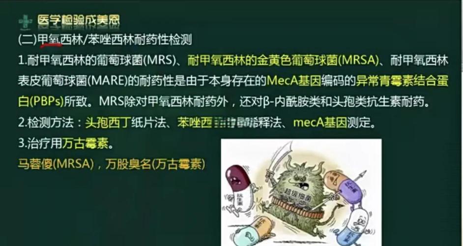 baidu09噬菌体耐药菌综合解决方案提供商诺安百特完成近亿元 B 轮融资 第2张 baidu09噬菌体耐药菌综合解决方案提供商诺安百特完成近亿元 B 轮融资 第2张