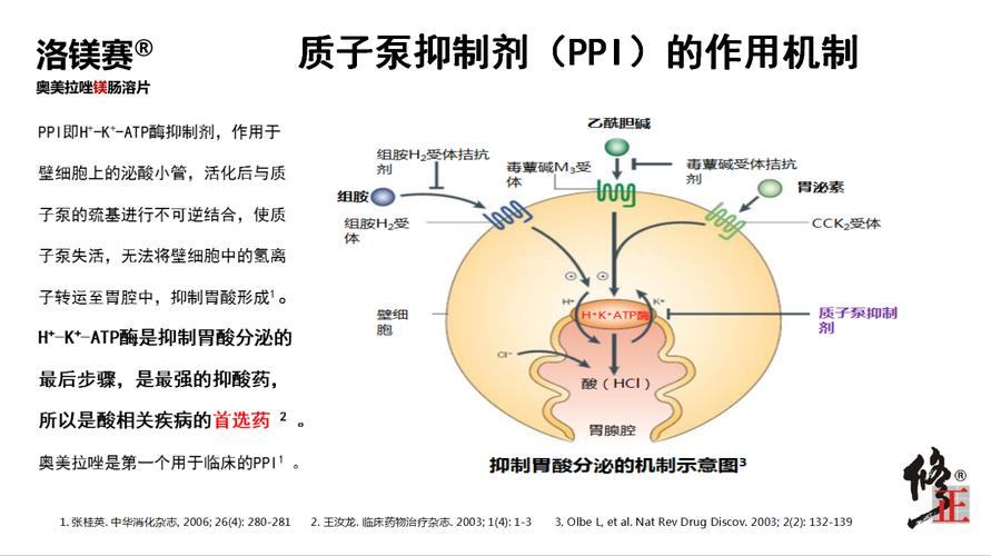 baidu09轩竹生物新一代质子泵抑制剂获批上市 第2张 baidu09轩竹生物新一代质子泵抑制剂获批上市 第2张