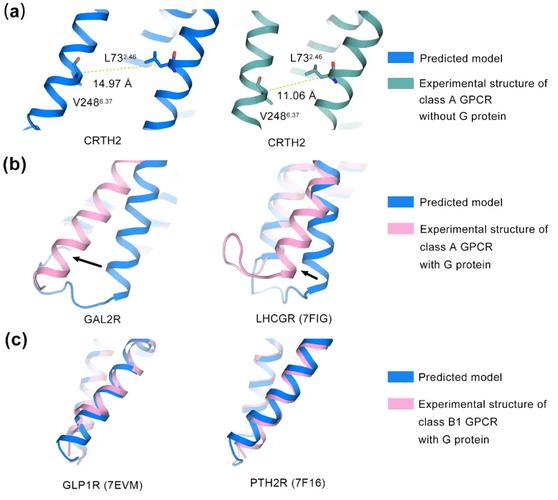 AlphaGenome – 谷歌推出的AI基因变异预测模型 第2张 AlphaGenome – 谷歌推出的AI基因变异预测模型 第2张