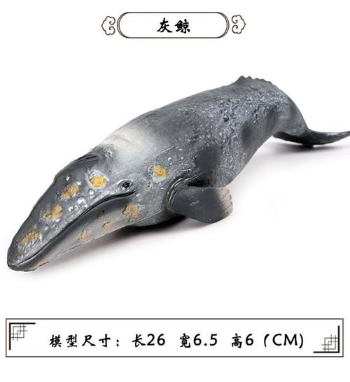 琅琊 – 中国科学院海洋研究所自主研发的海洋大模型1.0版本 第2张 琅琊 – 中国科学院海洋研究所自主研发的海洋大模型1.0版本 第2张