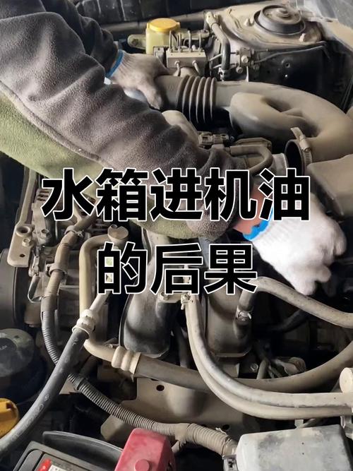 机油跑到水箱怎么解决，水箱进机油了怎么修  第2张