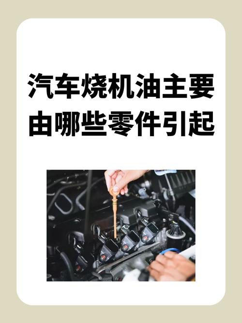 汽车漏机油怎么办，汽车漏机油的原因  第2张