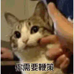 拍我AI，AI视频的抽象之王哈哈哈哈哈  第1张