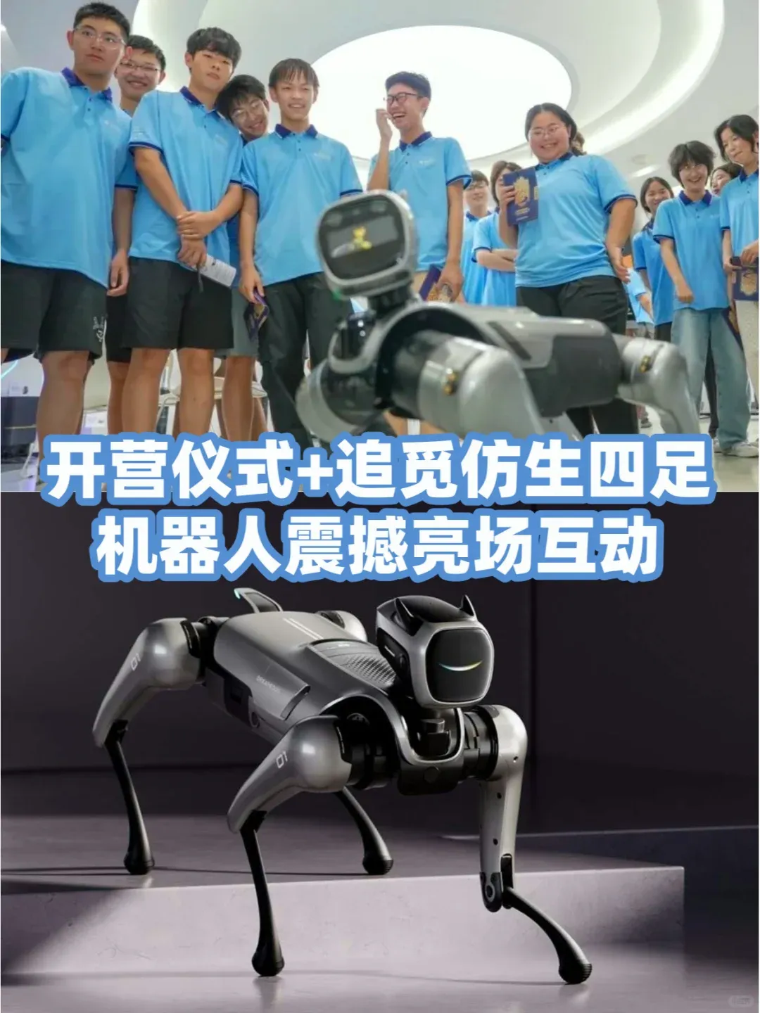 做扫地机器人的追觅跨界教育：上线AI口语产品、研学课，还想做学习机  第4张