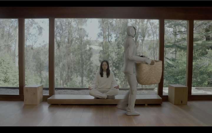 挪威版“宇树”刷屏：人形机器人进工厂是伪命题，干家务才是正路  第1张