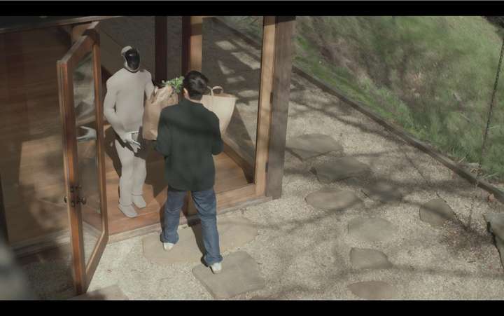 挪威版“宇树”刷屏：人形机器人进工厂是伪命题，干家务才是正路  第9张