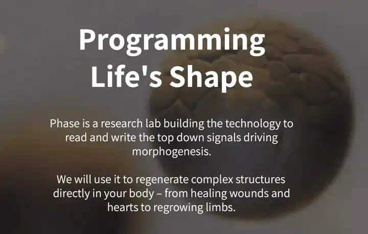 押中 Figma、Scale AI 的 Thiel Fellowship， 今年下注哪些 方向？  第6张