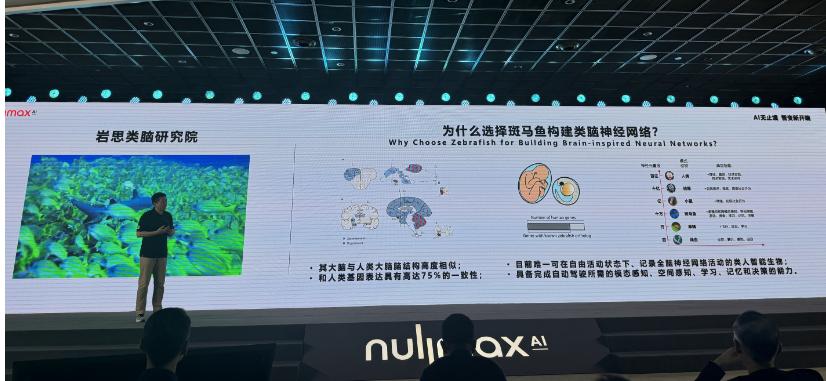 脑科学融合端到端，自动驾驶迎来Next Level？  第6张