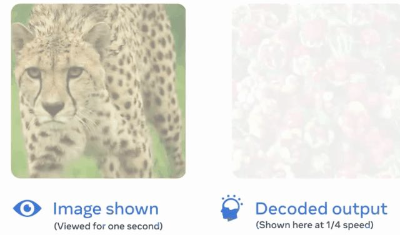 AI读脑成真，延迟仅0.25秒，Meta里程碑新研究：MEG实时解码大脑图像，LeCun转赞  第4张