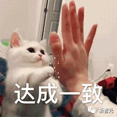 AI读脑成真，延迟仅0.25秒，Meta里程碑新研究：MEG实时解码大脑图像，LeCun转赞  第6张