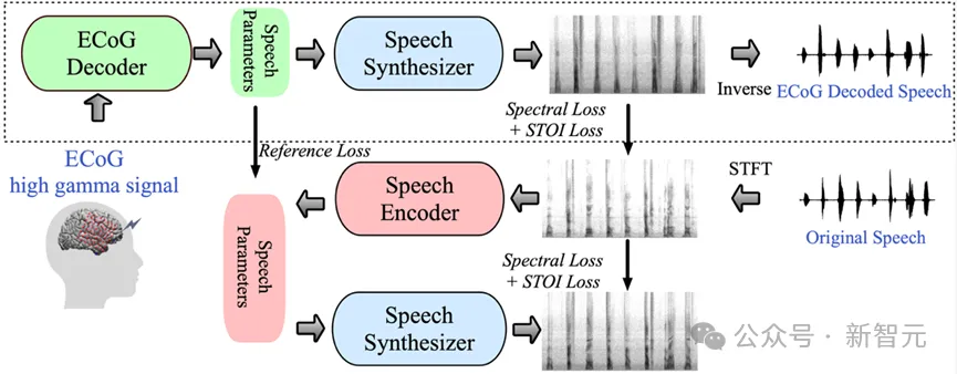 LeCun转发，AI让失语者重新说话！纽约大学发布全新「神经-语音」解码器｜Nature子刊  第3张
