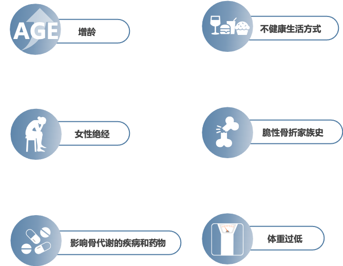 AI助力健康体检 打造骨健康筛诊疗一体化体系  第9张