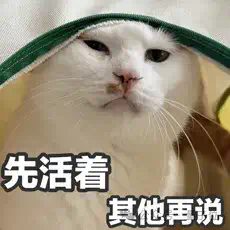 123页Claude 4行为报告发布：人类干坏事，可能会被它反手一个举报？！  第7张
