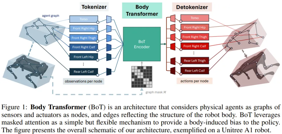 机器人策略学习的Game Changer？伯克利提出Body Transformer  第2张