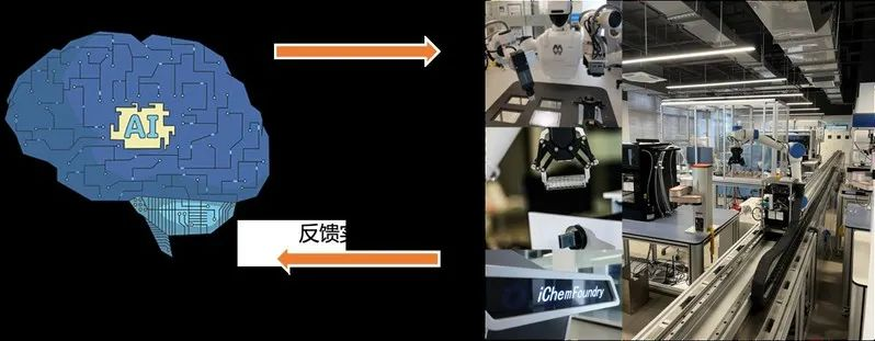 入选NeurIPS 24，浙大团队提出全新去噪蛋白质语言模型DePLM，突变效应预测优于SOTA模型  第8张